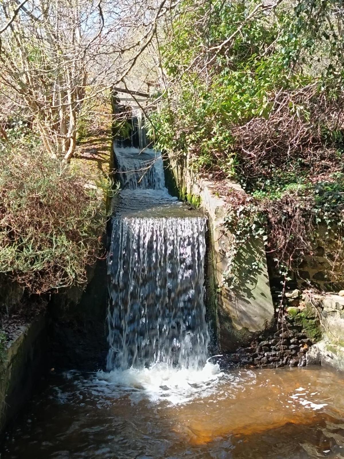 Moulin De Boiscorde, Centre Perche Bed & Breakfast Remalard ภายนอก รูปภาพ